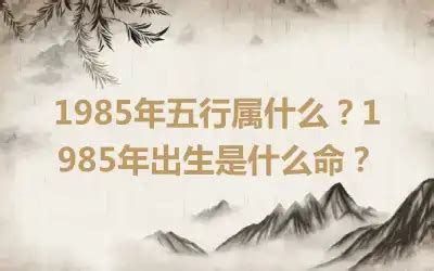 1985年五行|1985年五行属什么？1985年出生是什么命？